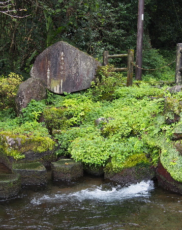 出の山湧水